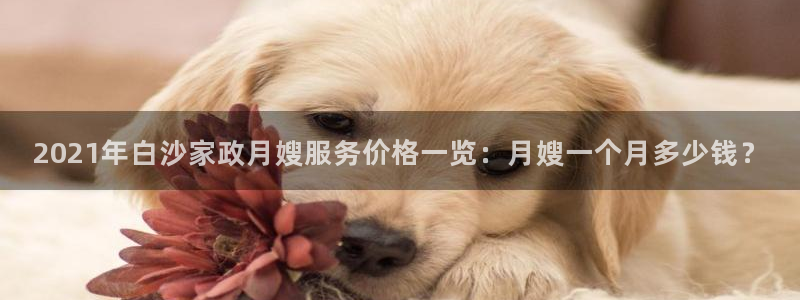 杏悦平台代理怎么样可靠吗