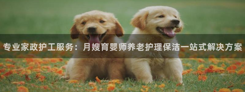 杏悦 -首选推荐平台