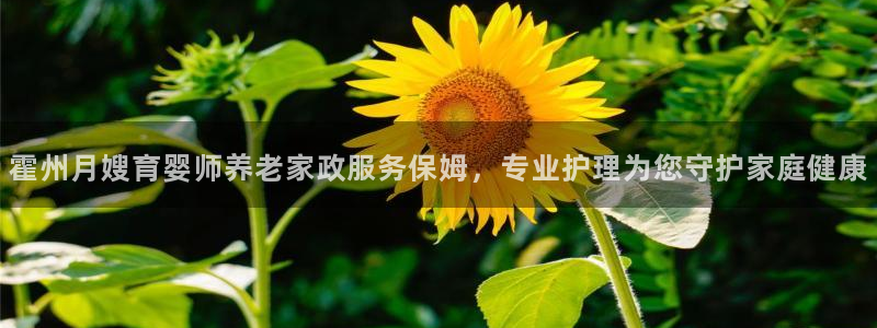 杏悦平台可靠吗是真的吗