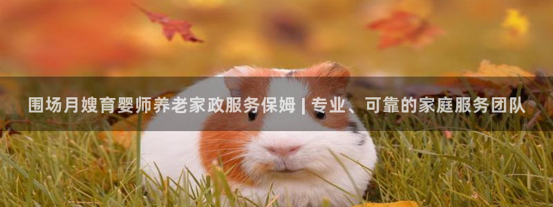 杏悦平台可靠吗可信吗是真的吗