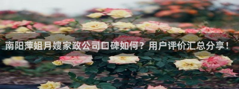 杏悦官方平台官网首页
