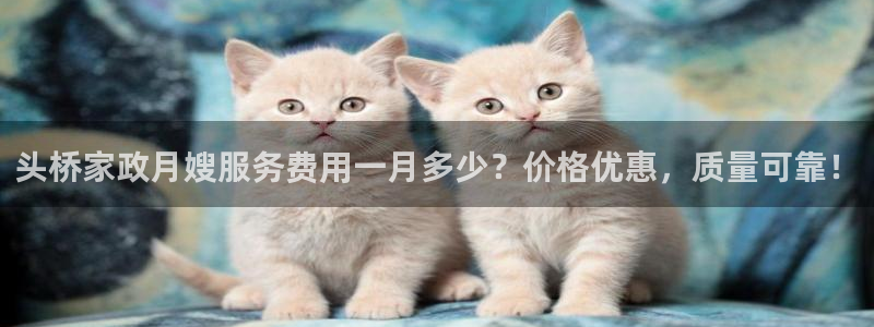 杏悦官方平台官网入口