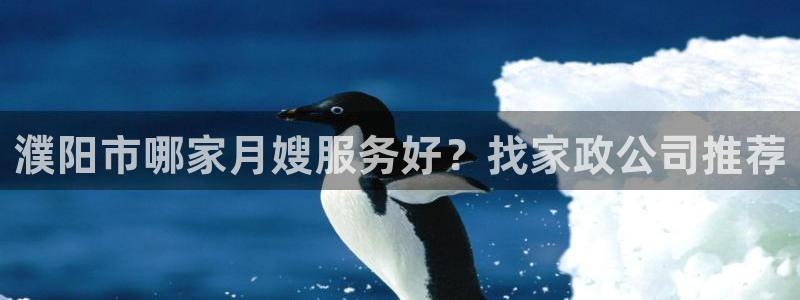 杏悦登入