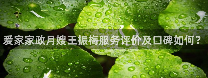 杏悦平台可靠吗是真的吗还是假的