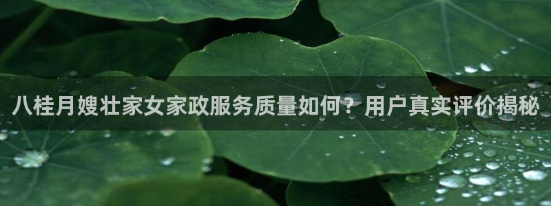 杏悦平台如何