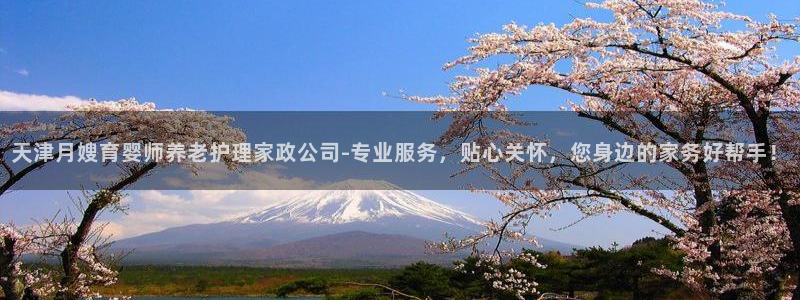 杏悦娱乐怎么玩