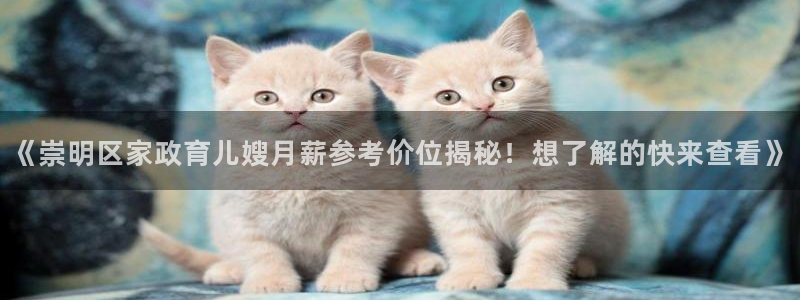 杏悦主管