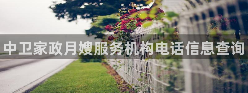 杏悦主管