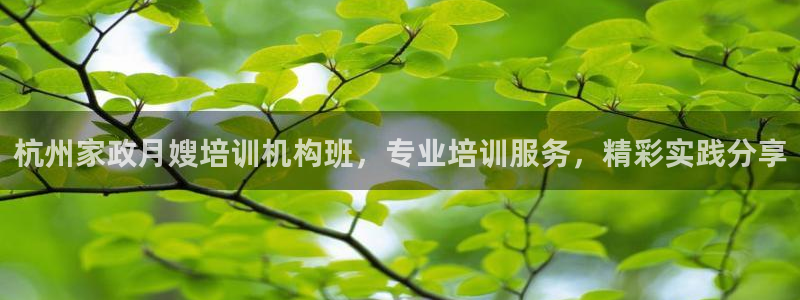 杏悦平台开户地址是什么