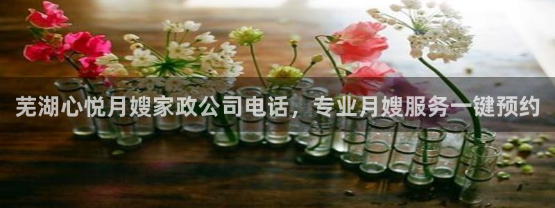 杏悦娱乐怎么玩