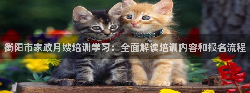 杏悦平台招商怎么样