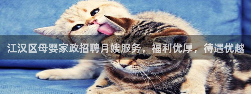 杏悦平台代理怎么赚钱的