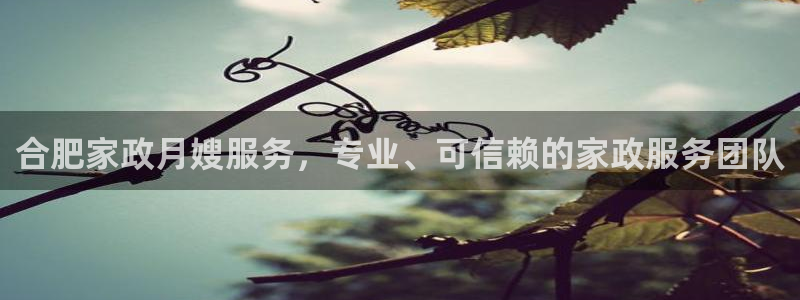 杏悦官方平台是正品吗安全吗
