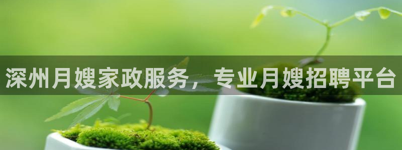 杏悦平台代理怎么样赚钱