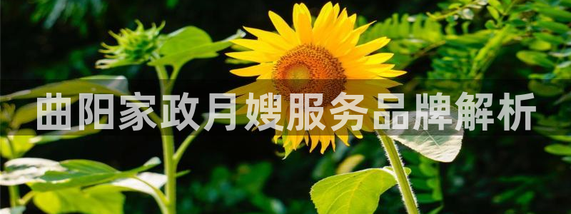 杏悦平台可靠吗可信吗