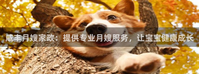 杏悦平台代理怎么做的