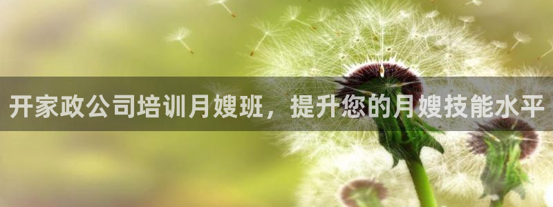杏悦官网