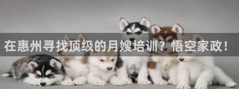 杏悦平台代理怎么赚钱快