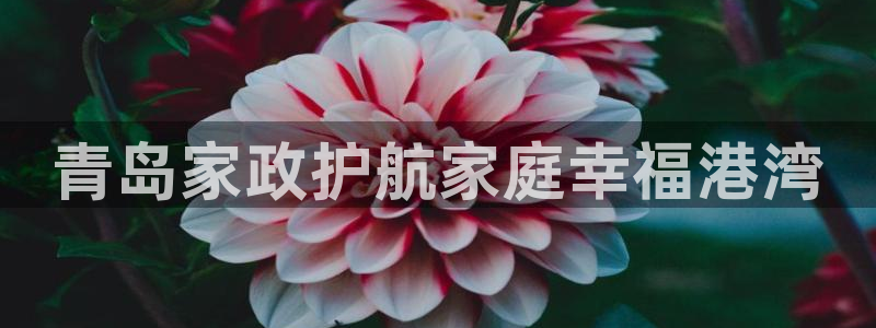 杏悦主管