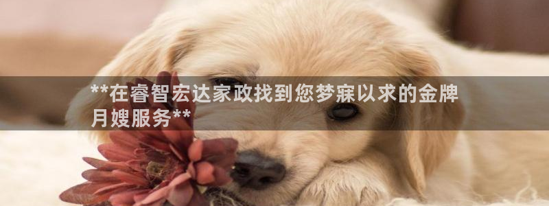 杏悦1招商地址