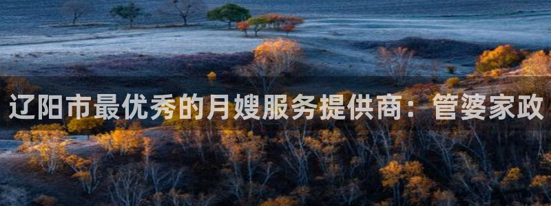 杏悦官方平台