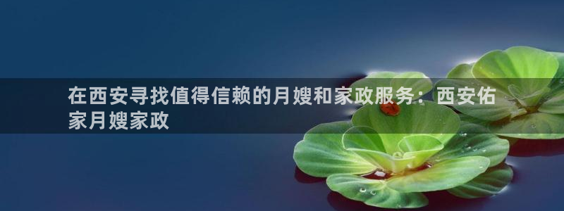 杏悦靠谱吗