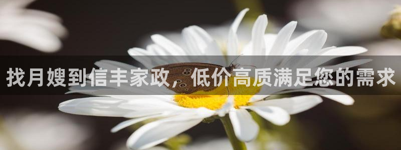 杏悦官方平台官网入口