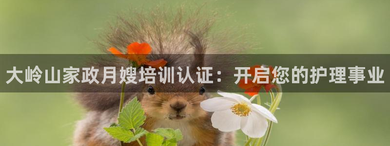 杏悦平台主管
