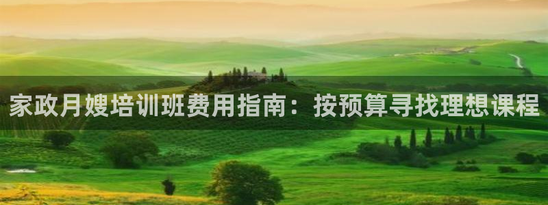 杏悦平台代理多少钱