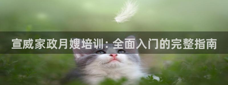杏悦1招商地址