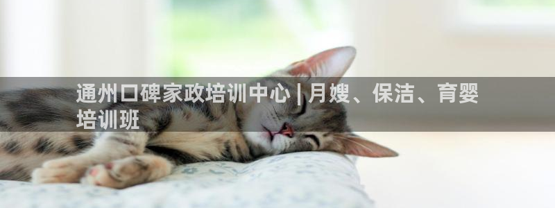杏悦娱乐是什么