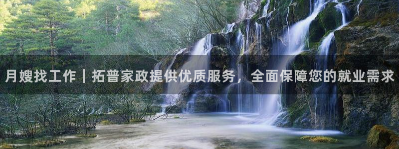 杏悦平台代理怎么赚钱