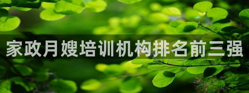 杏悦平台代理