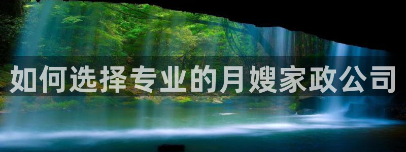 杏悦平台主管