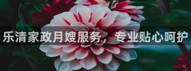 杏悦平台可靠吗是真的吗吗