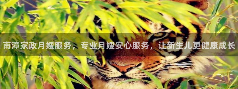 杏悦官方平台是正品吗安全吗