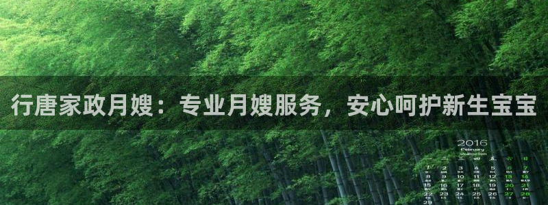 杏悦招商地址