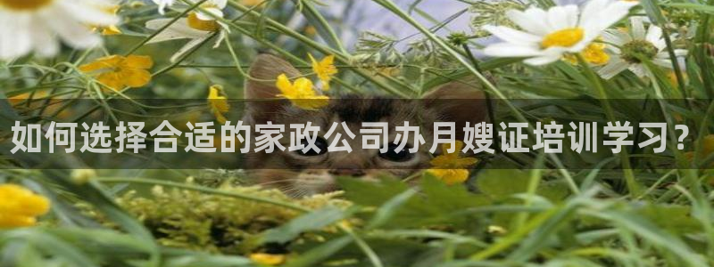 杏悦娱乐怎么玩