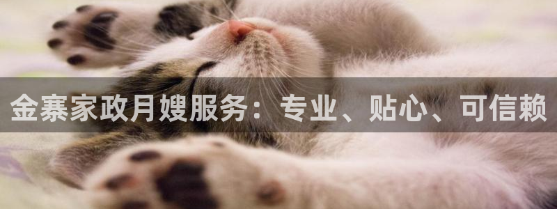 杏悦平台可靠吗可信吗安全吗