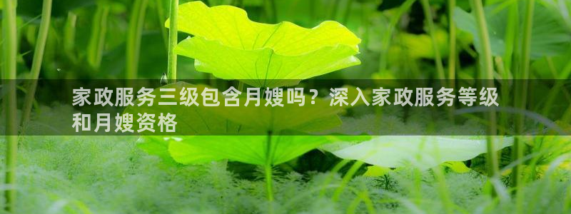 杏悦平台代理多少钱