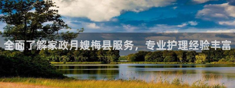 杏悦是什么平台
