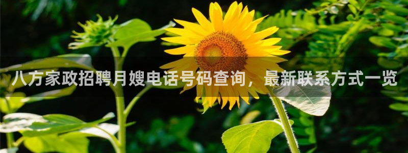 杏悦平台招商电话号码