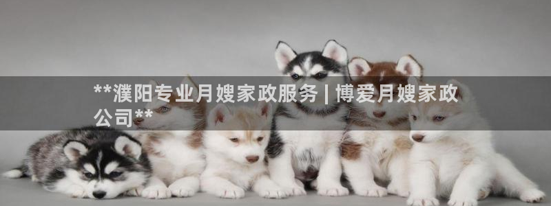 杏悦主管