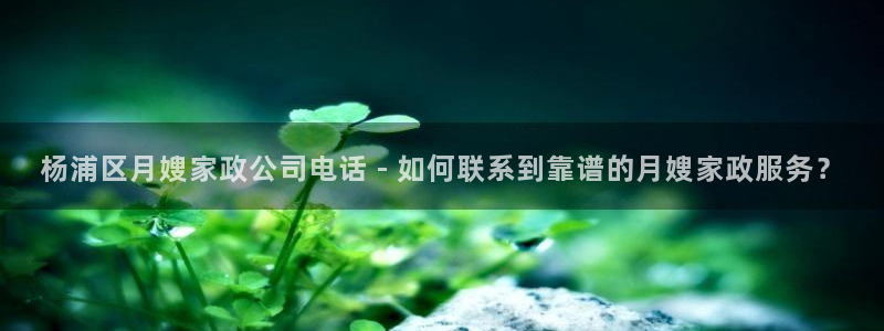 杏悦是什么