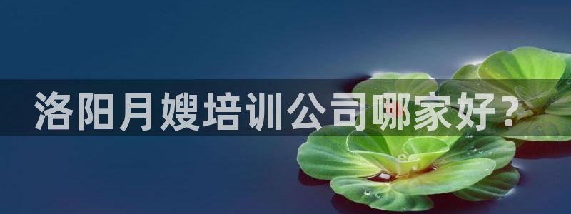 杏悦平台代理