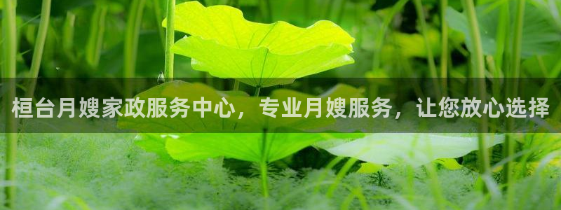 杏悦平台