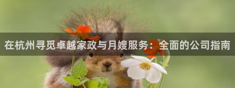 杏悦官方平台官网