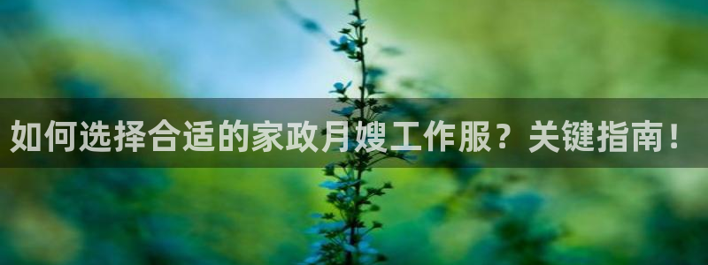 杏悦娱乐平台靠谱吗