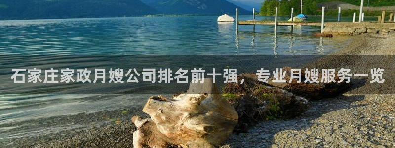 杏悦平台代理怎么做